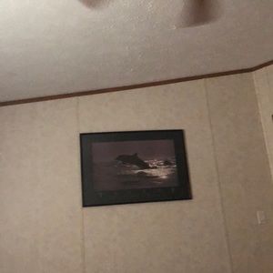 Meet your Posher, Tamara